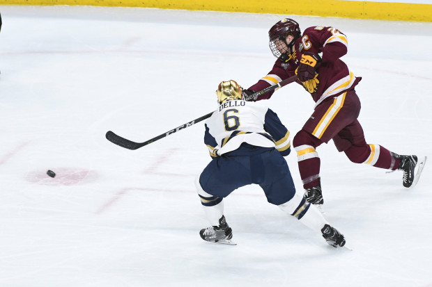 Duluth 2018 NCAA Champions